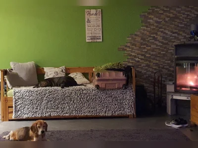 Vorschaubild 5