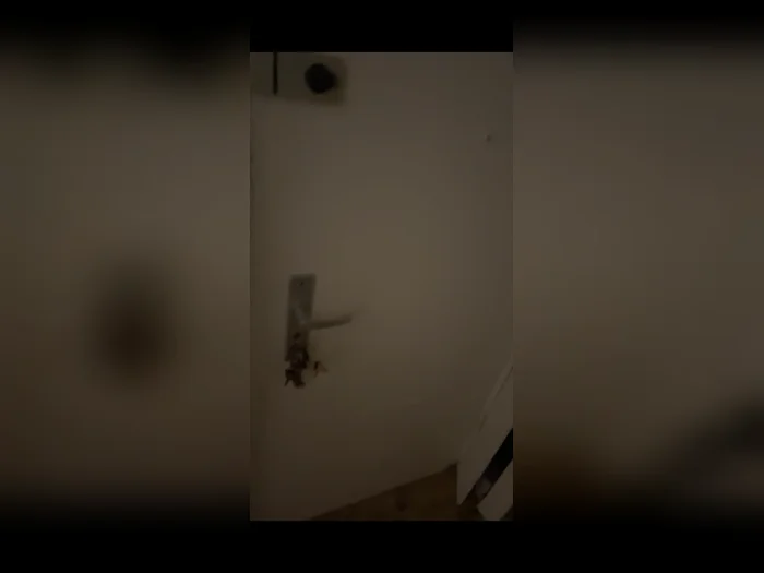 Vorschaubild 6