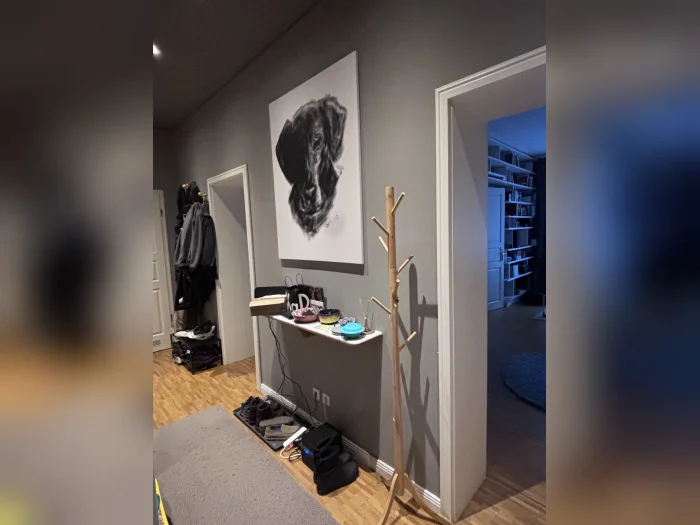 Vorschaubild 4