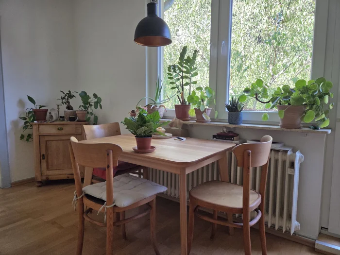 Vorschaubild 4