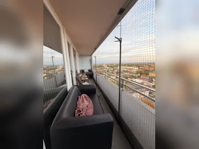 Vorschaubild 10