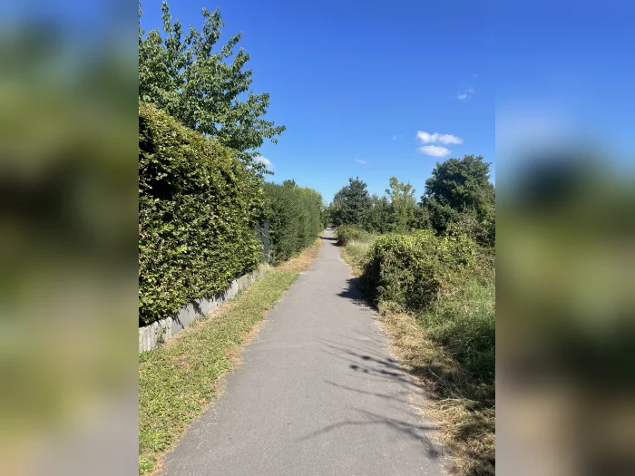 Vorschaubild 11