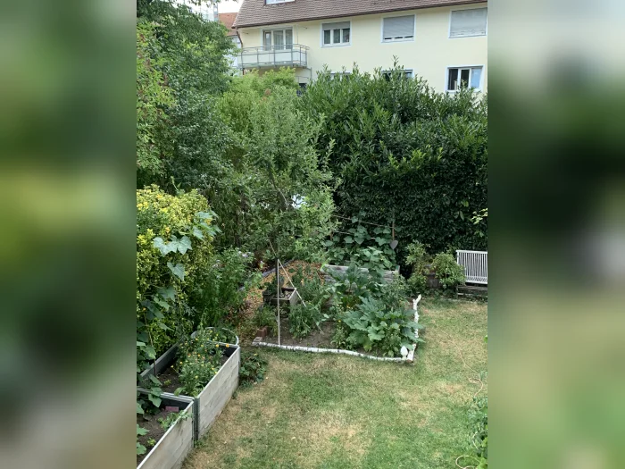 Vorschaubild 2