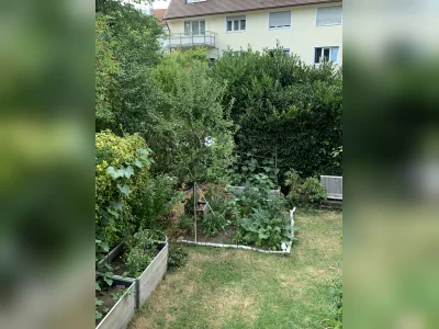 Vorschaubild 2