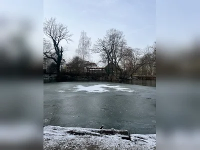Vorschaubild 8