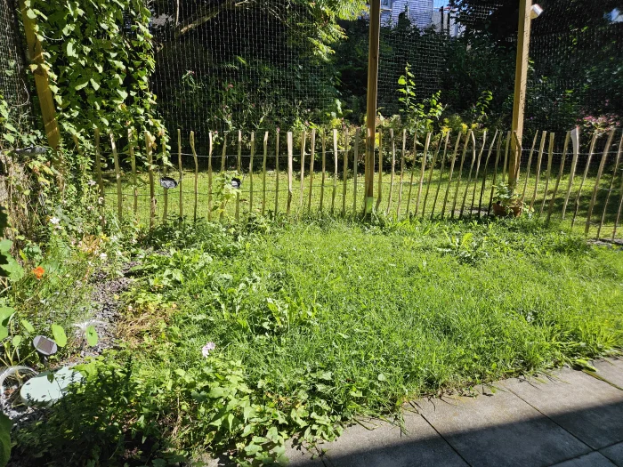 Vorschaubild 2