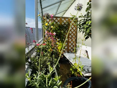Vorschaubild 1