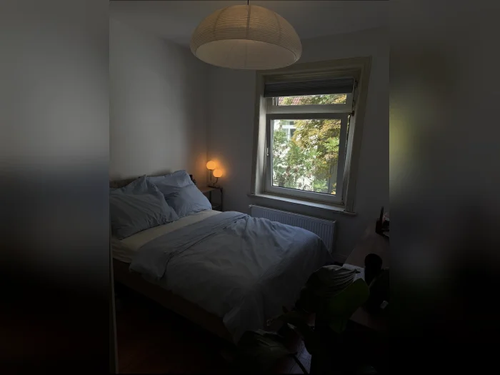 Vorschaubild 2
