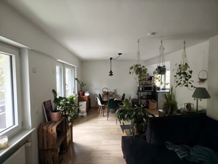 Vorschaubild 1