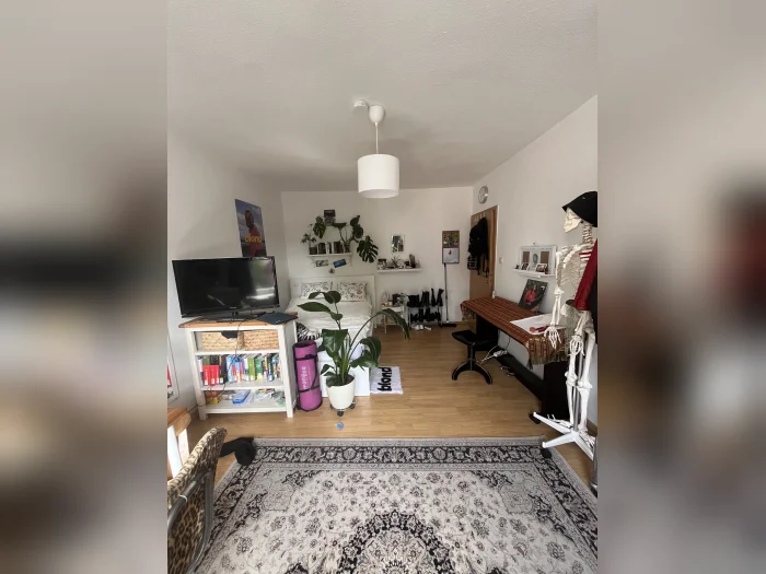 Vorschaubild 2