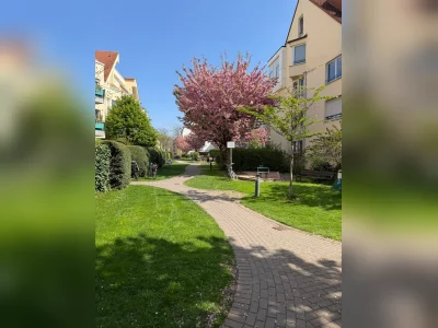 Schöne 3-Zimmer-Wohnung in Ehrenfeld