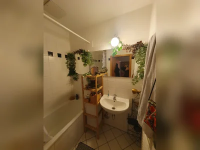 Vorschaubild 2