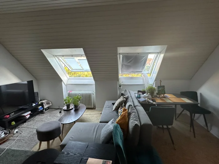 Vorschaubild 1