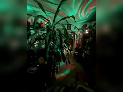 Vorschaubild 3