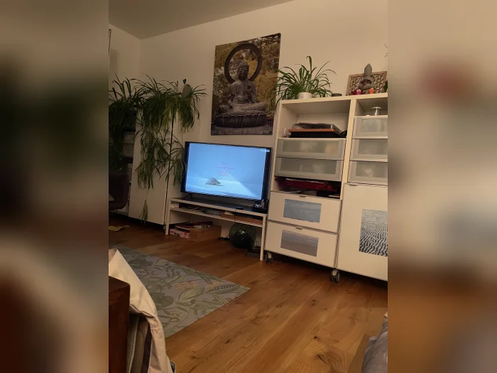 Vorschaubild 1