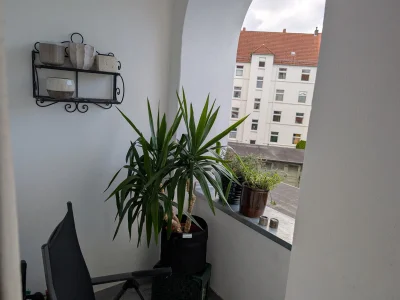 Vorschaubild 3
