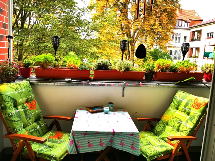 Vorschaubild 1