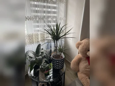 Tausch deine Wohnung in Hamburg Eidelstedt 22523