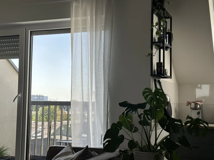 Vorschaubild 1