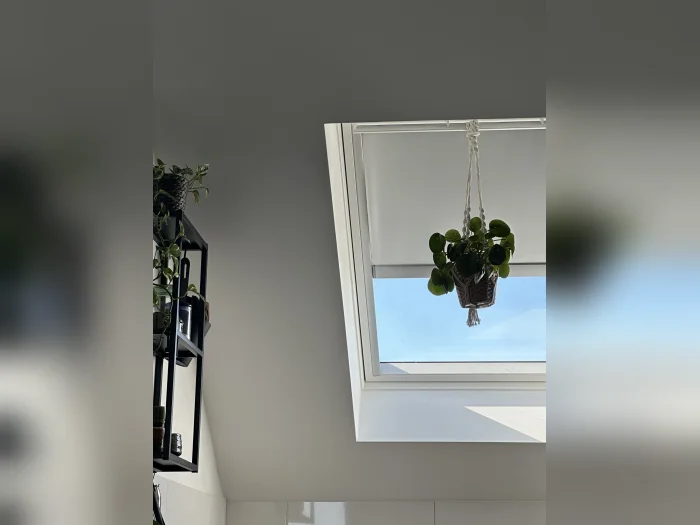 Vorschaubild 2
