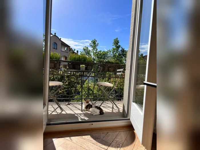 Vorschaubild 2