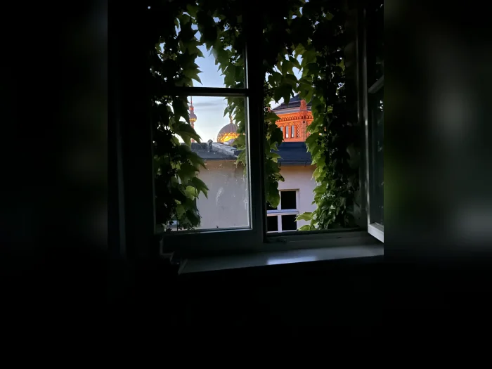 Vorschaubild 1