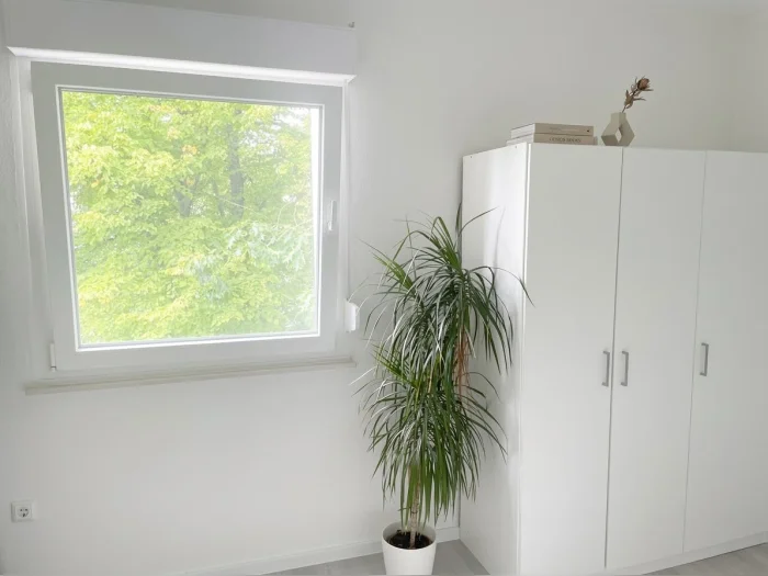 Vorschaubild 2