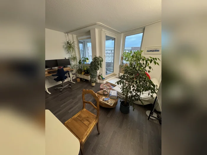 Vorschaubild 2