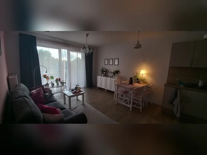 Vorschaubild 1