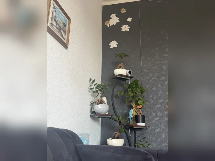 Vorschaubild 2