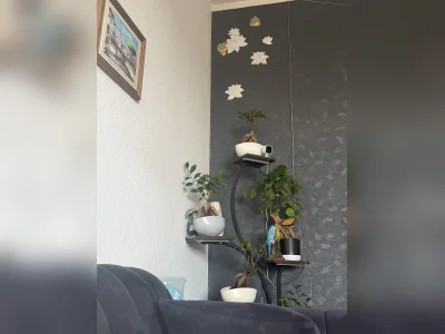 Vorschaubild 2