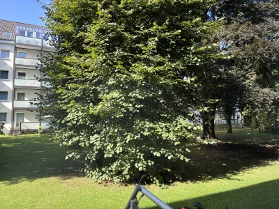 Vorschaubild 3