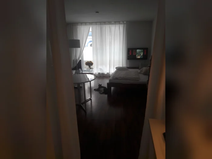 Vorschaubild 3