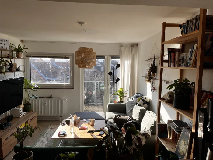 Vorschaubild 1