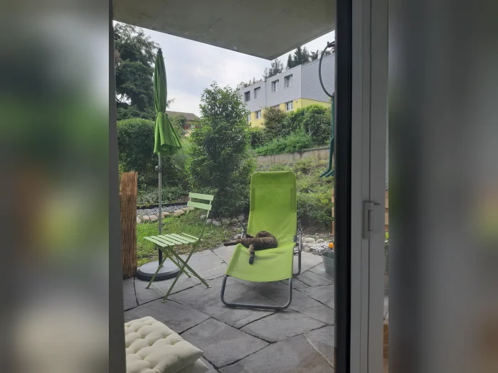 Vorschaubild 1