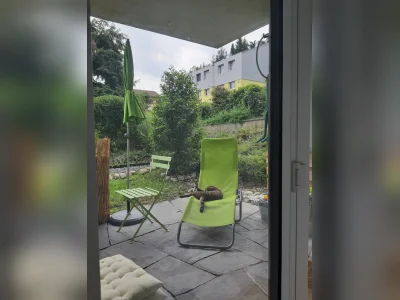 2,5-Zimmer-Wohnung, 47 m² in Zürich, Kreis 11