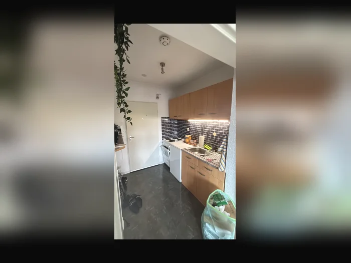Vorschaubild 3