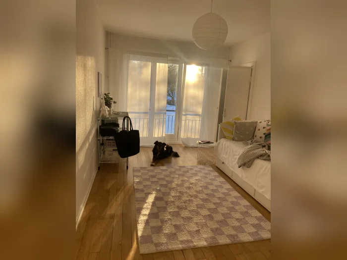 Vorschaubild 2