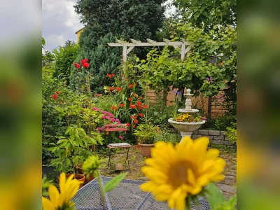 Vorschaubild 1