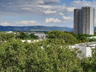 Gemütliche 2-Zimmer-Wohnung in Mannheim