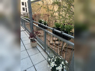 Vorschaubild 3