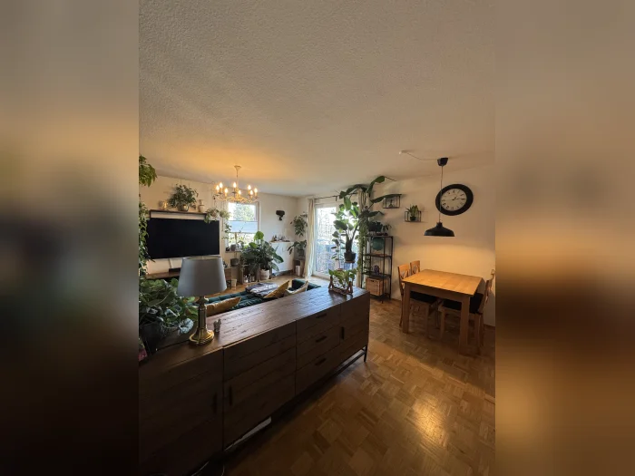 Vorschaubild 1