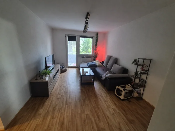 Vorschaubild 1