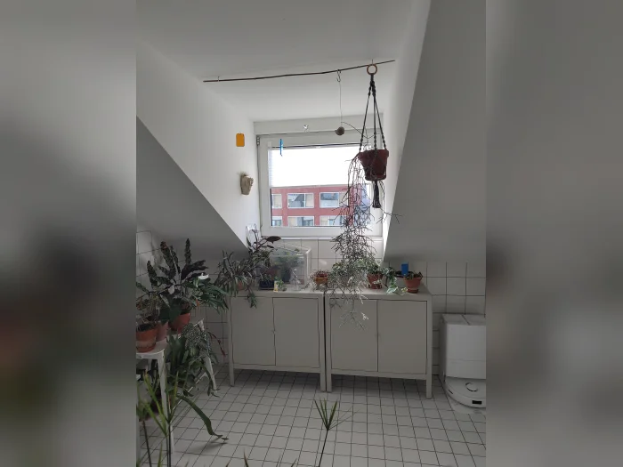 Vorschaubild 2
