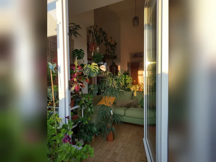 Vorschaubild 1