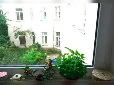 Vorschaubild 7