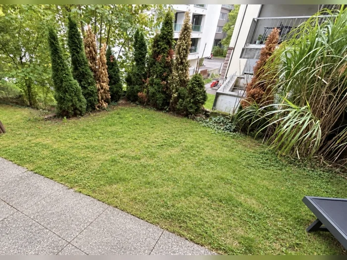 Vorschaubild 3