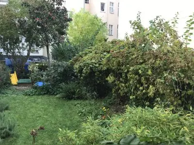 Vorschaubild 7
