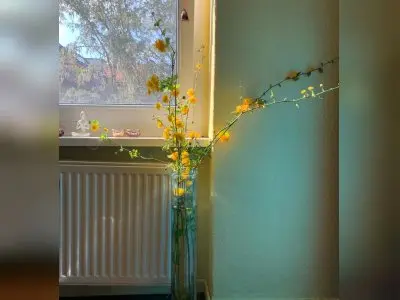 Vorschaubild 3