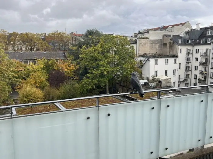 Vorschaubild 6